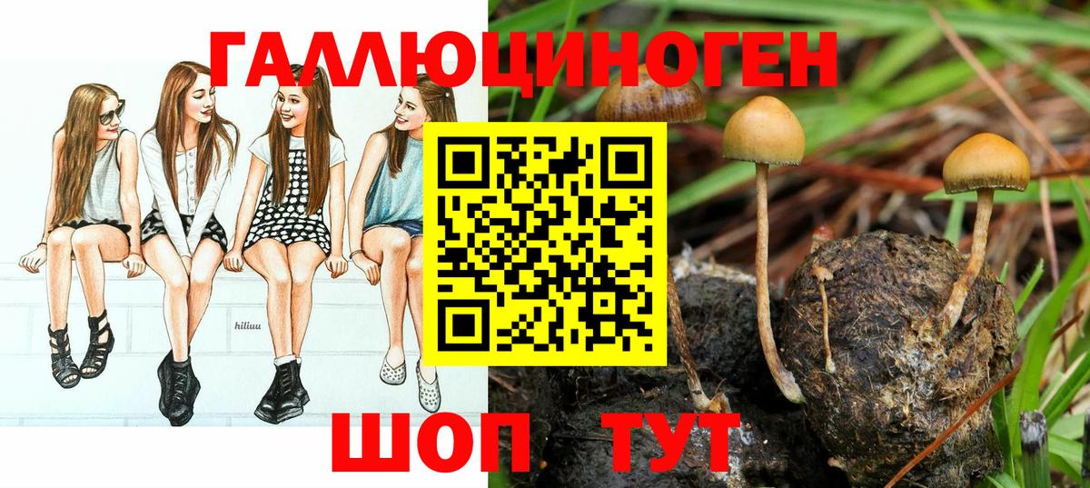 Галлюциногенные грибы ЛСД Сунжа