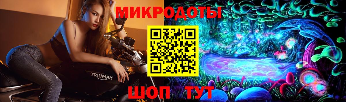Сунжа  Галлюциногенные грибы GOLDEN TEACHER  Галлюциногенные грибы Psilocybine cubensis  Вход с VPN 